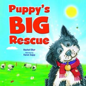 Cover of the book Puppy's Big Rescue by Michelle Franklin