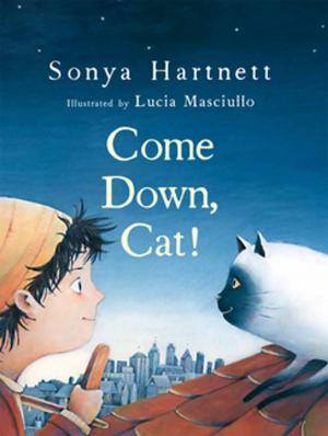 Book cover of Come Down, Cat!