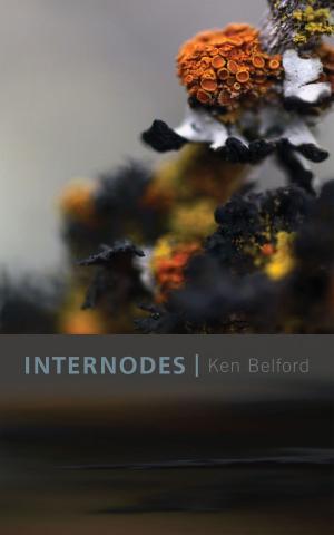 Cover of the book Internodes by Steve Galluccio