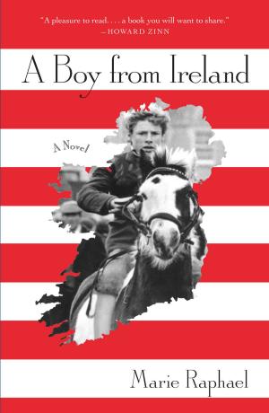 bigCover of the book A Boy From Ireland: A Novel by 