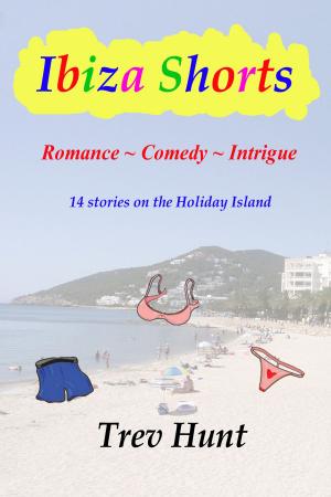 bigCover of the book Ibiza Shorts by 