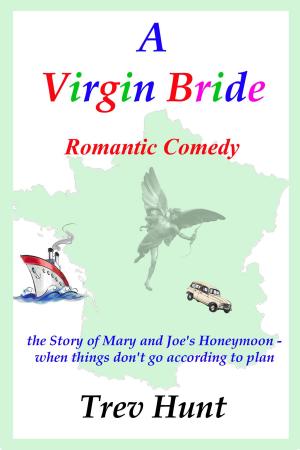 Cover of the book A Virgin Bride by Mark McKirdy