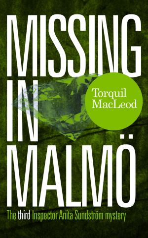 Cover of the book Missing in Malmö by Jeff Mariotte
