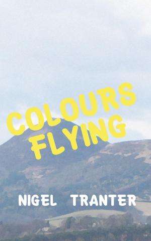 Book cover of Colours Flying