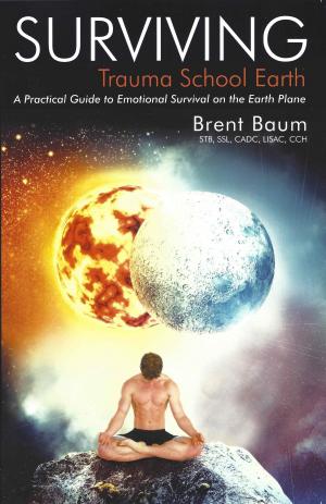 Cover of the book Surviving Trauma School Earth by The Findhorn Community