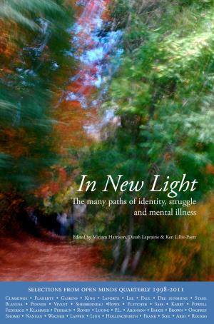 Cover of the book In New Light by Katherine McCord