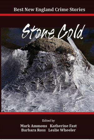 Book cover of Best New England Crime Stories 2014: Stone Cold