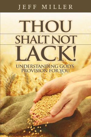 Cover of the book Thou Shalt Not Lack! by Chris Park
