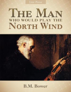 Book cover of The Man Who Would Play the North Wind