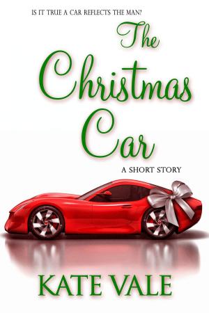 Cover of the book The Christmas Car by Anita Claire