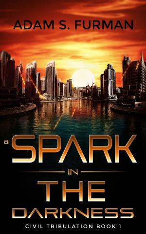 Cover of the book A Spark in the Darkness by J. Scott Nelson