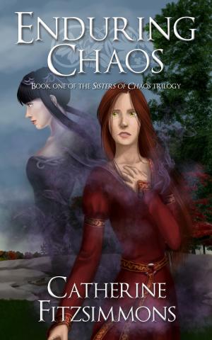Book cover of Enduring Chaos