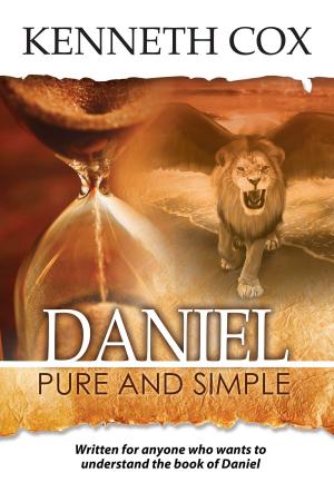 Cover of the book Daniel Pure and Simple by Missy Steinfeld