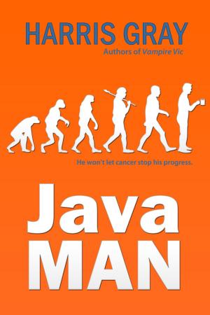 Cover of the book Java Man by Kolektif