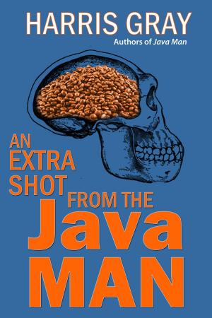 Cover of the book An Extra Shot from the Java Man by Paul Adam Levy