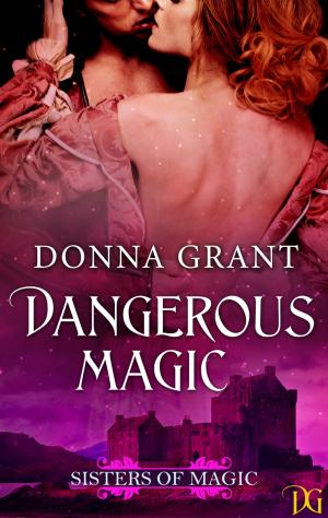 Cover of the book Dangerous Magic by Kethric Wilcox