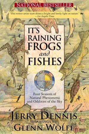 Book cover of It's Raining Frogs and Fishes