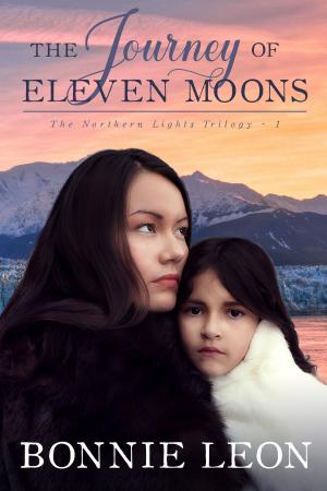 Cover of the book The Journey of Eleven Moons by Camille Eide