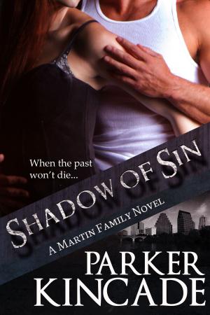 Book cover of Shadow of Sin