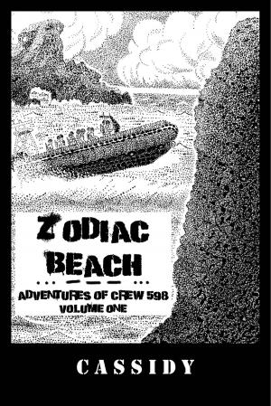 Book cover of Zodiac Beach