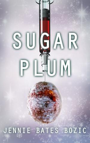 Cover of the book Sugar Plum by Stephen Arseneault