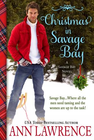 Cover of the book Christmas in Savage Bay by Margaret McHeyzer