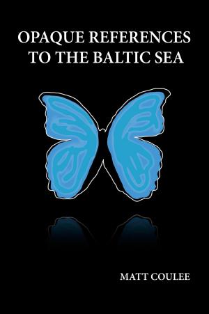Cover of the book Opaque References to the Baltic Sea by Marina K. Villatoro