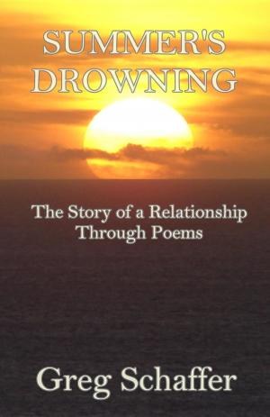 Cover of the book Summer's Drowning by Nicole Martinsen