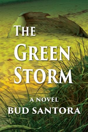 bigCover of the book The Green Storm by 