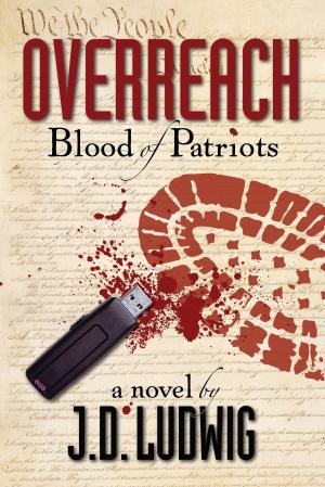 Cover of the book Overreach by 林斯諺