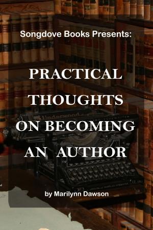 Cover of the book Practical Thoughts on Becoming an Author by Rainer Nemayer