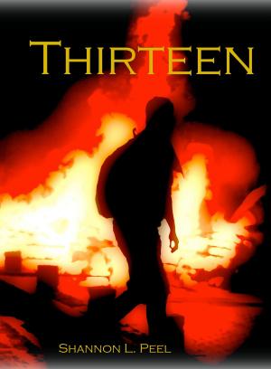 Cover of the book Thirteen by Ciara Knight