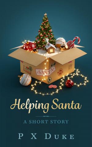 Book cover of Helping Santa