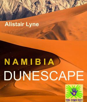 Book cover of Namibia - Dunescape