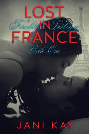 Book cover of Lost In France - Jani Kay