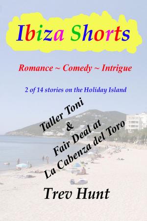 Cover of the book Taller Toni & Fair Deal at La Cabeza by Chris Simon