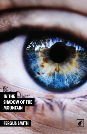 Cover of the book In the Shadow of the Mountain by Various