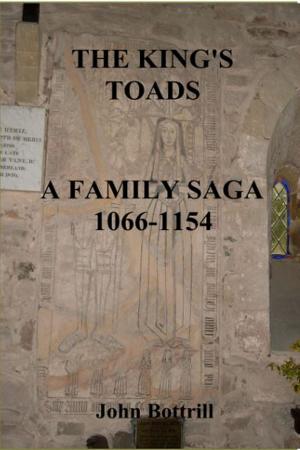 Book cover of The King's Toads