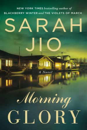 Cover of the book Morning Glory by Anne Marie Stoddard