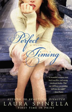 Cover of the book Perfect Timing by Caleb Crain