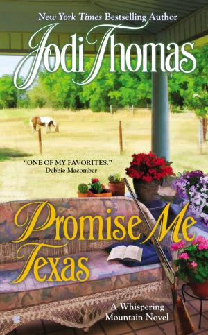 Cover of the book Promise Me Texas by Jeanine Cummins