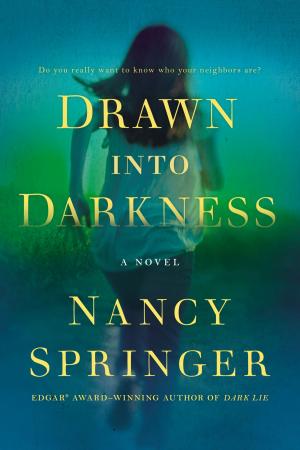 Cover of the book Drawn Into Darkness by Christine Feehan