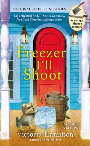 bigCover of the book Freezer I'll Shoot by 