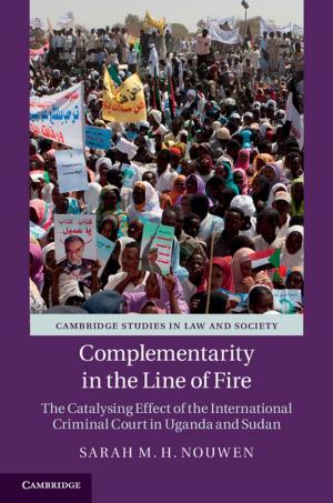 Cover of the book Complementarity in the Line of Fire by Jim McKeown