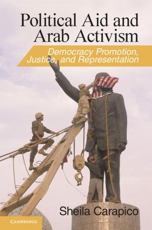 Cover of the book Political Aid and Arab Activism by Beth A. Berkowitz