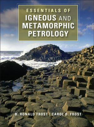 Cover of the book Essentials of Igneous and Metamorphic Petrology by Elizabeth Spiller