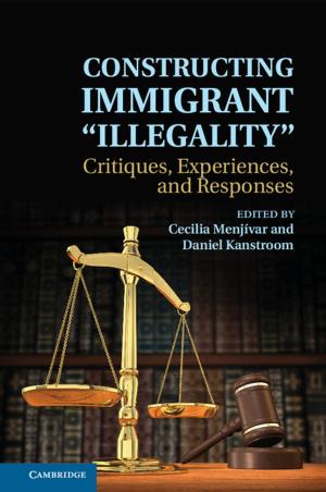 Cover of the book Constructing Immigrant 'Illegality' by 