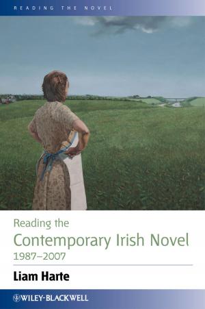 Cover of the book Reading the Contemporary Irish Novel 1987 - 2007 by Melanie Jasper, Megan Rosser, Gail Mooney