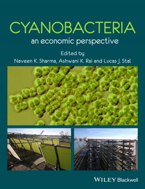 Cover of the book Cyanobacteria by Robert A. Goodnow Jr.