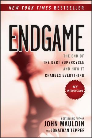 Cover of the book Endgame by Hamid Reza Norouzi, Reza Zarghami, Rahmat Sotudeh-Gharebagh, Navid Mostoufi